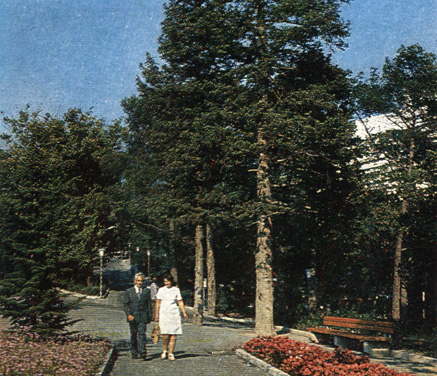 Массандровский парк, заложенный в середине XIX в., ныне - зеленая зона комплекса 'Ялта'