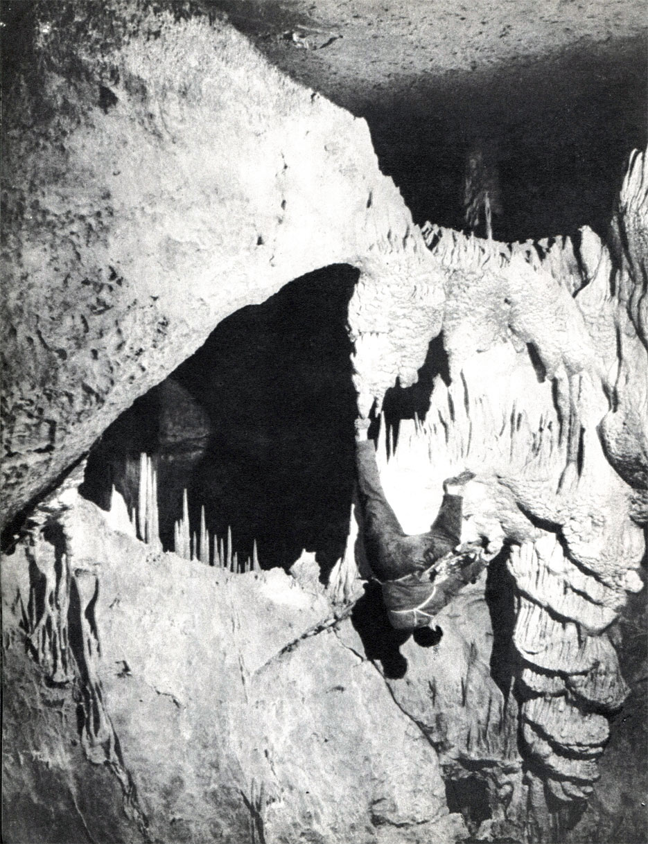 Изучение покрытых корой натека костей различных животных помогает раскрыть одну из интереснейших загадок - время образования пещер Крыма