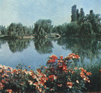 Город зелени и цветов. В парке им. Ю. А. Гагарина